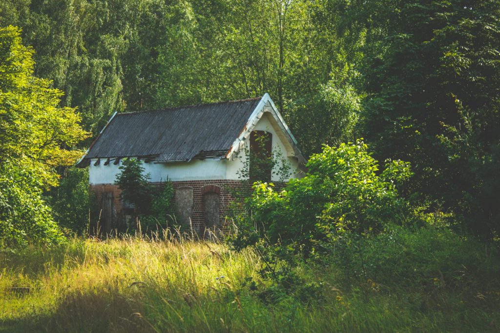 Discover a quaint, abandoned cottage nestled within vibrant greenery, perfect for serene landscapes.